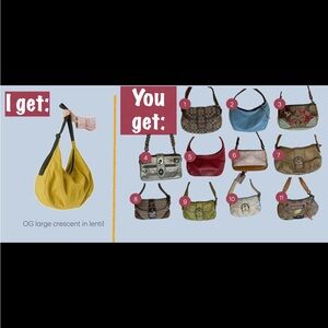 Coach for your Baggu?